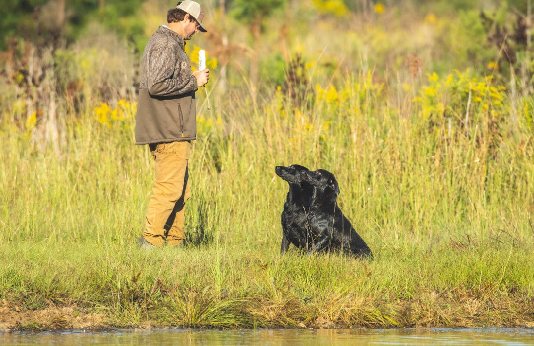 Brandon at Blackbelt Retrievers creates elite level hunting dogs at Soggy bottom Lodge