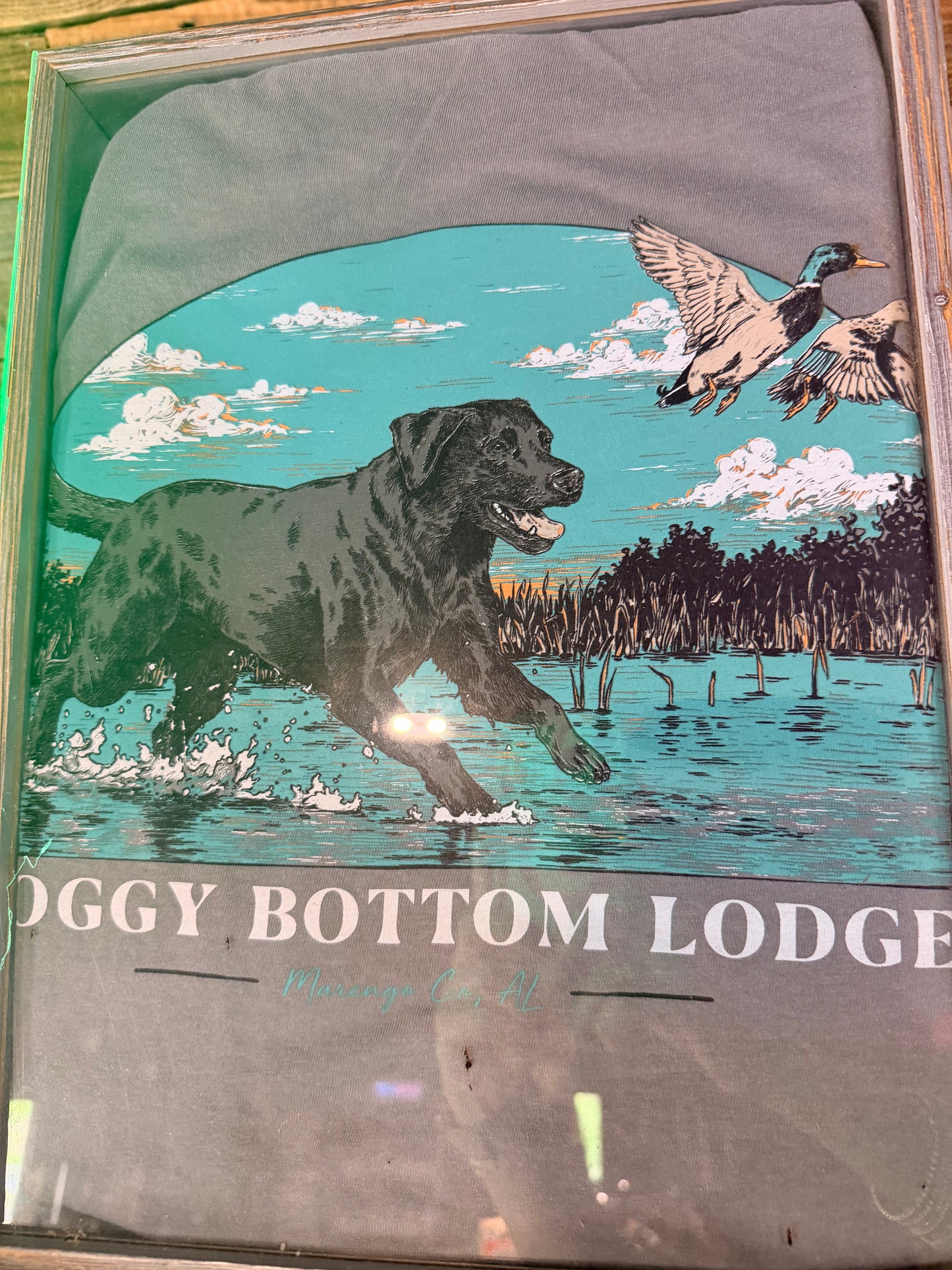 SBL T-SHIRT (LAB CHASING DUCK)