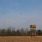 PHEASANT TOWER SHOOT