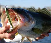 1/2 DAY FISHING