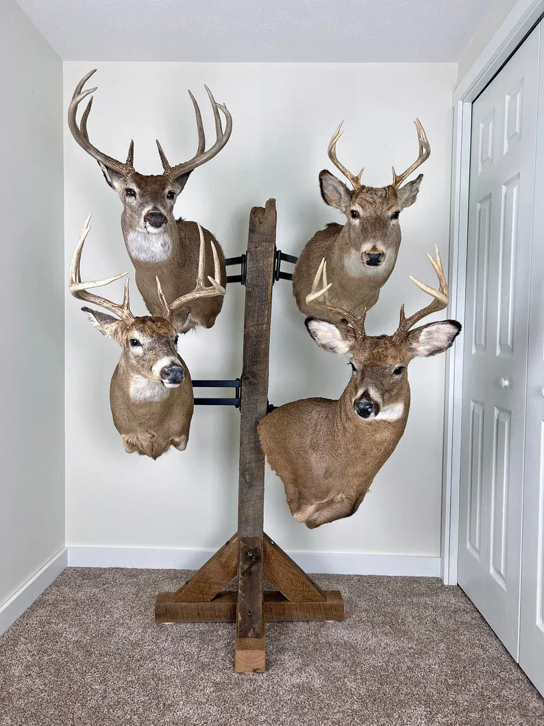 MOUNT