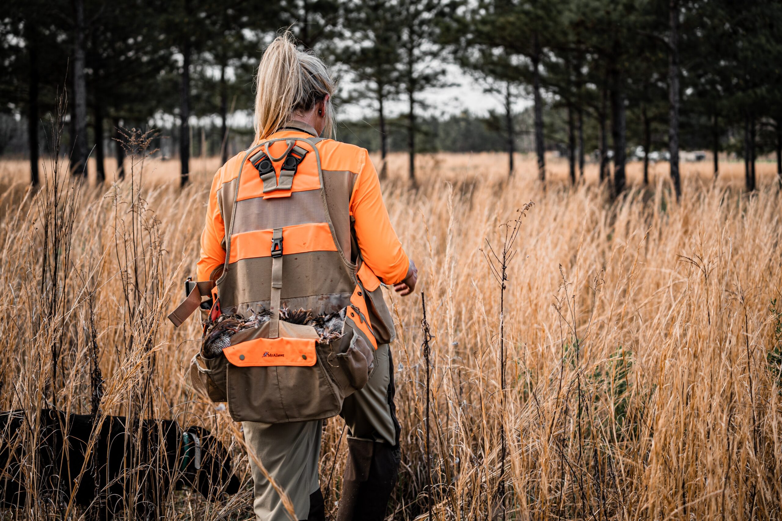 The Best Quail Hunting in Alabama